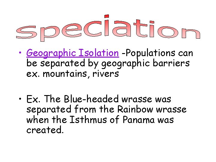  • Geographic Isolation -Populations can be separated by geographic barriers ex. mountains, rivers