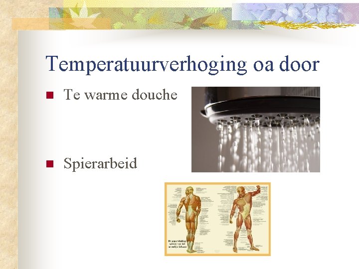 Temperatuurverhoging oa door n Te warme douche n Spierarbeid 