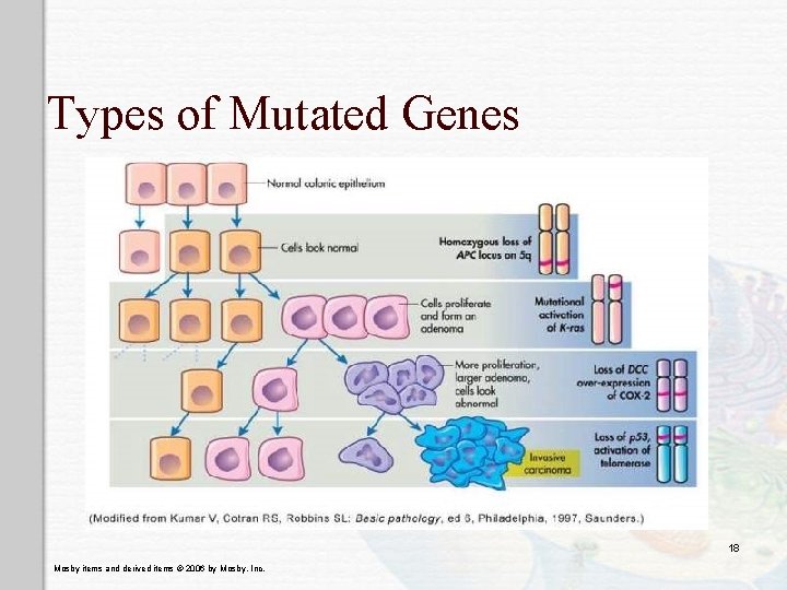 Types of Mutated Genes 18 Mosby items and derived items © 2006 by Mosby,