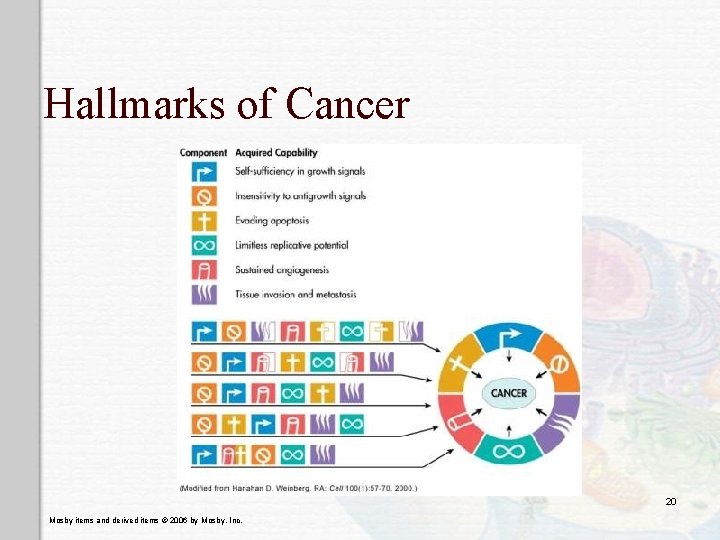 Hallmarks of Cancer 20 Mosby items and derived items © 2006 by Mosby, Inc.