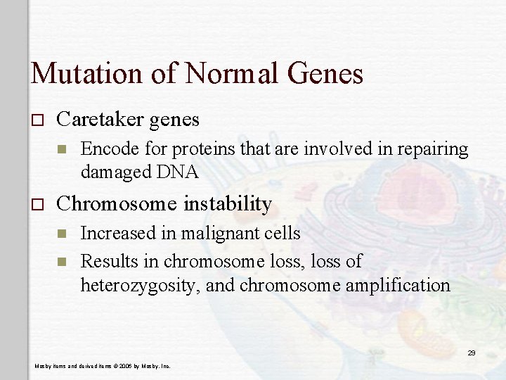 Mutation of Normal Genes o Caretaker genes n o Encode for proteins that are