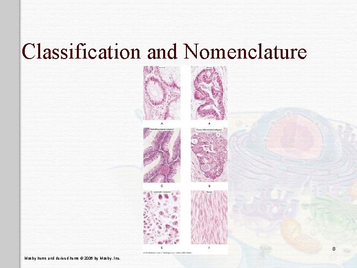 Classification and Nomenclature 8 Mosby items and derived items © 2006 by Mosby, Inc.