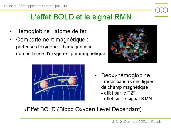 Étude du développement cérébral par IRM L’effet BOLD et le signal RMN • Hémoglobine
