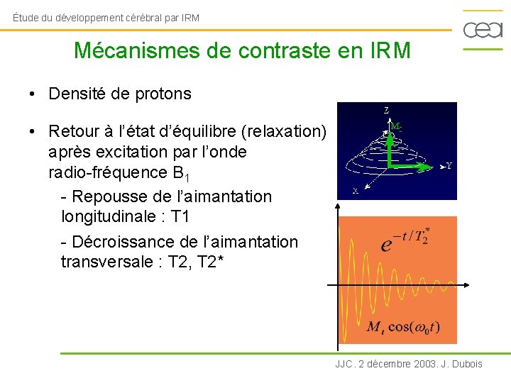 Étude du développement cérébral par IRM Mécanismes de contraste en IRM • Densité de