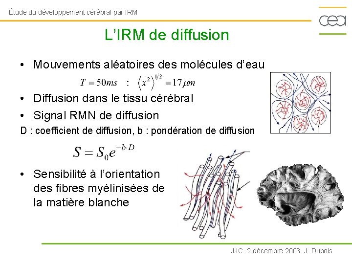 Étude du développement cérébral par IRM L’IRM de diffusion • Mouvements aléatoires des molécules