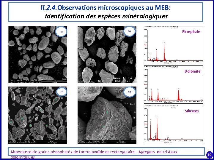 II. 2. 4. Observations microscopiques au MEB: Identification des espèces minéralogiques PB FG Phosphate