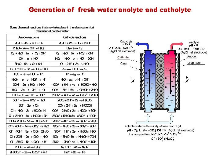 Generation of fresh water anolyte and catholyte 