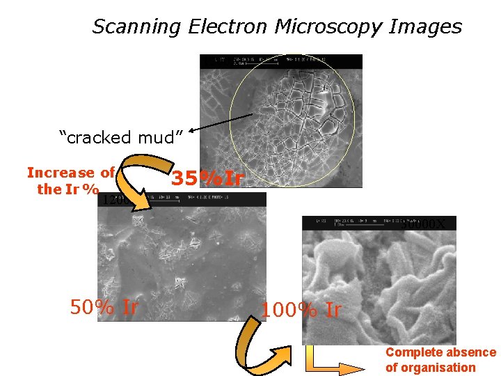 Scanning Electron Microscopy Images 1200 X “cracked mud” Increase of the Ir % 1200