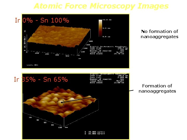 Atomic Force Microscopy Images Ir 0% - Sn 100% No formation of nanoaggregates Ir