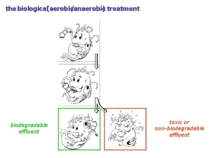 the biological(aerobic/anaerobic) treatment biodegradable effluent toxic or non-biodegradable effluent 