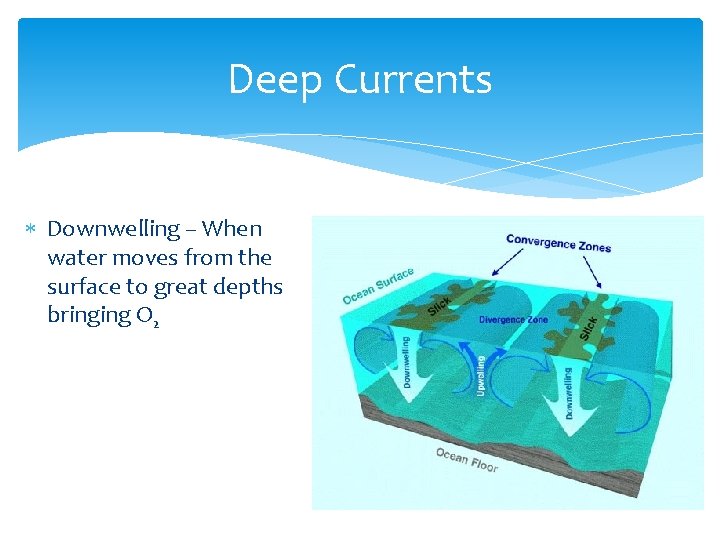 Deep Currents Downwelling – When water moves from the surface to great depths bringing