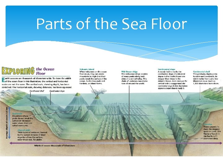 Parts of the Sea Floor 