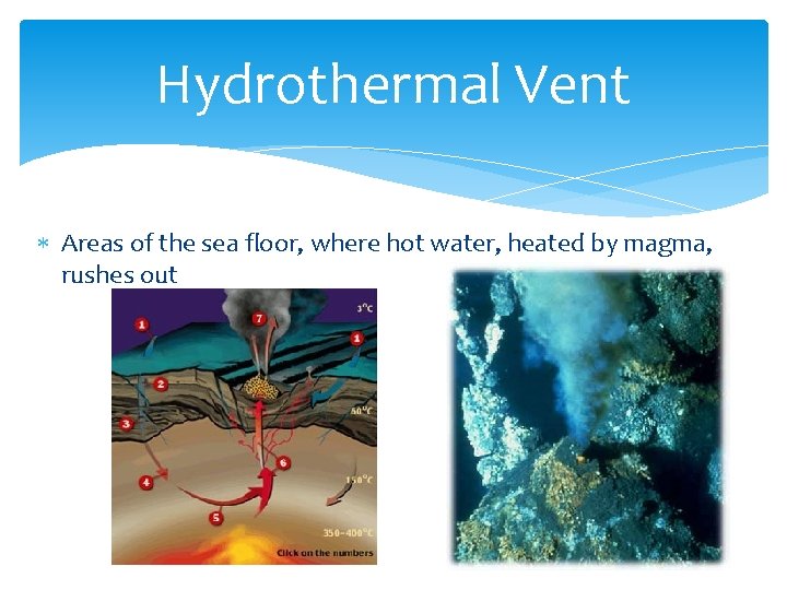 Hydrothermal Vent Areas of the sea floor, where hot water, heated by magma, rushes