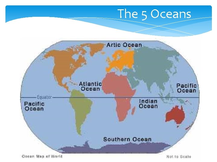 The 5 Oceans 