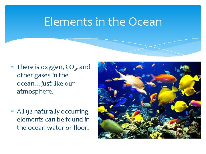 Elements in the Ocean There is oxygen, CO 2, and other gases in the