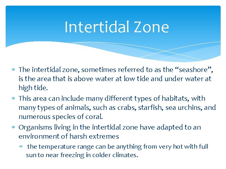 Intertidal Zone The intertidal zone, sometimes referred to as the “seashore”, is the area