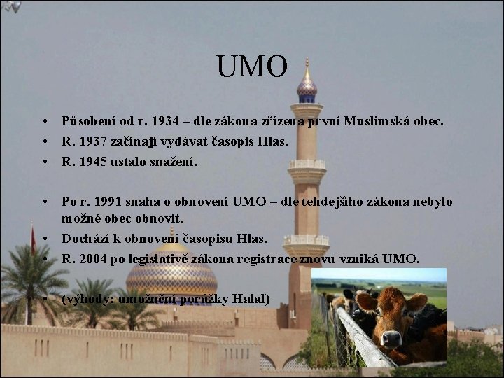 UMO • Působení od r. 1934 – dle zákona zřízena první Muslimská obec. •