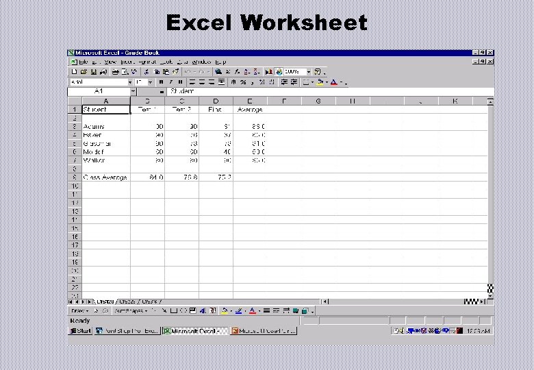 Excel Worksheet 