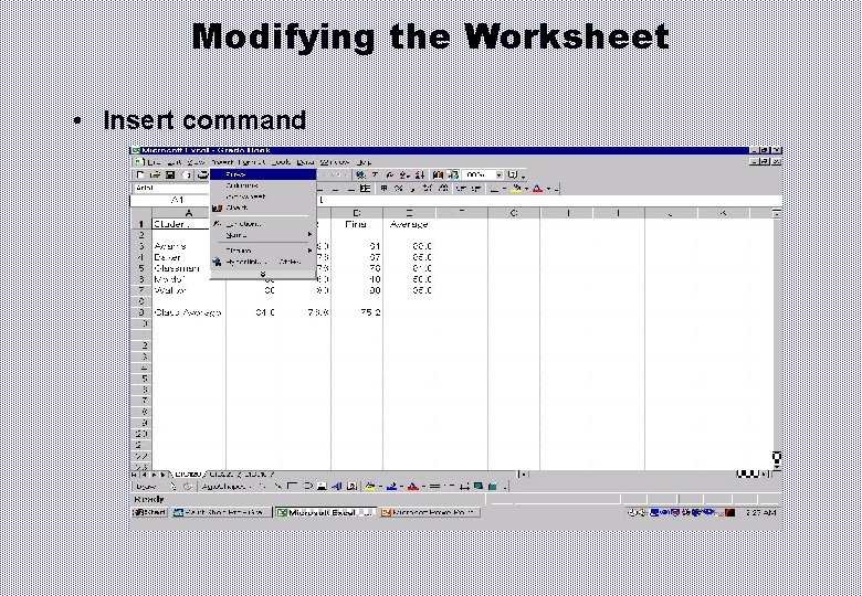 Modifying the Worksheet • Insert command 