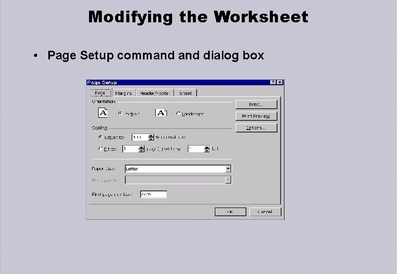 Modifying the Worksheet • Page Setup command dialog box 