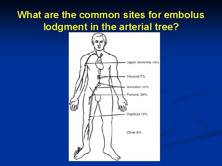 What are the common sites for embolus lodgment in the arterial tree? 