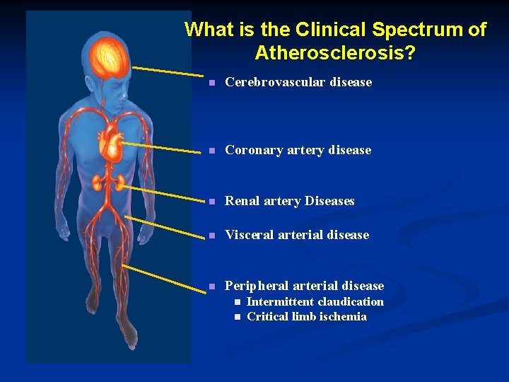 What is the Clinical Spectrum of Atherosclerosis? n Cerebrovascular disease n Coronary artery disease