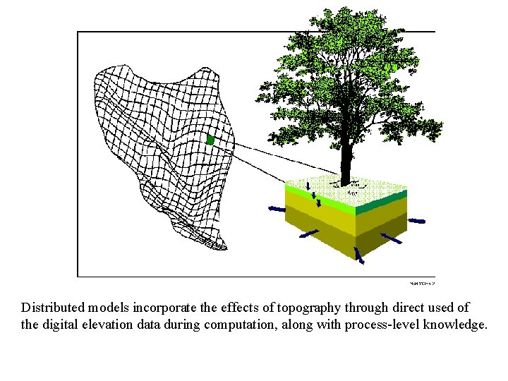 Distributed models incorporate the effects of topography through direct used of the digital elevation