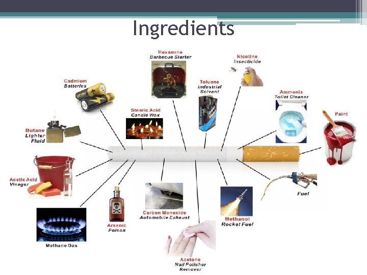 Ingredients 