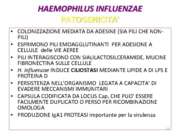 HAEMOPHILUS INFLUENZAE PATOGENICITA’ • COLONIZZAZIONE MEDIATA DA ADESINE (SIA PILI CHE NONPILI) • ESPRIMONO