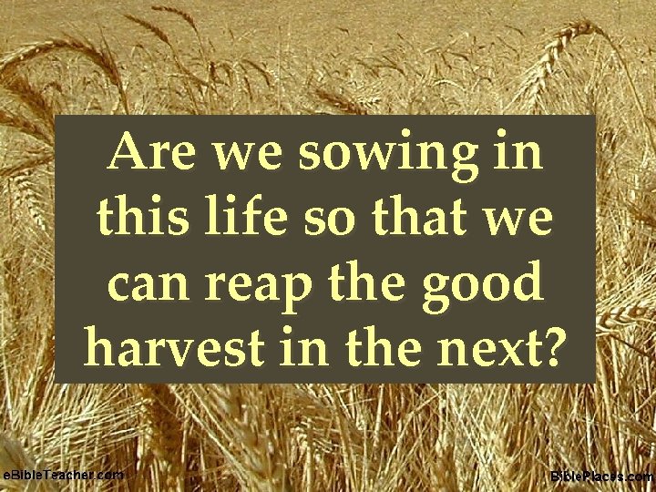Are we sowing in this life so that we { can reap the good