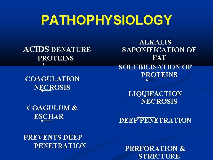 PATHOPHYSIOLOGY ACIDS DENATURE PROTEINS COAGULATION NECROSIS COAGULUM & ESCHAR ALKALIS SAPONIFICATION OF FAT SOLUBILISATION