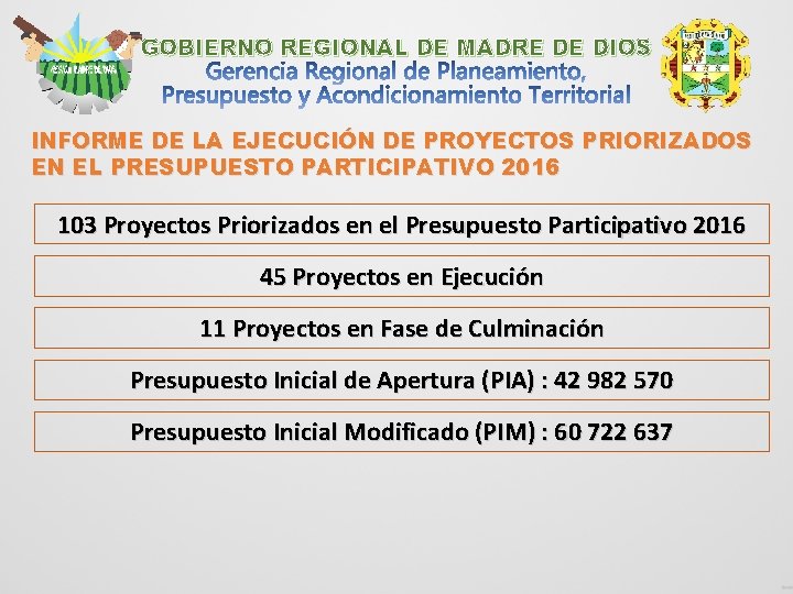 GOBIERNO REGIONAL DE MADRE DE DIOS INFORME DE LA EJECUCIÓN DE PROYECTOS PRIORIZADOS EN