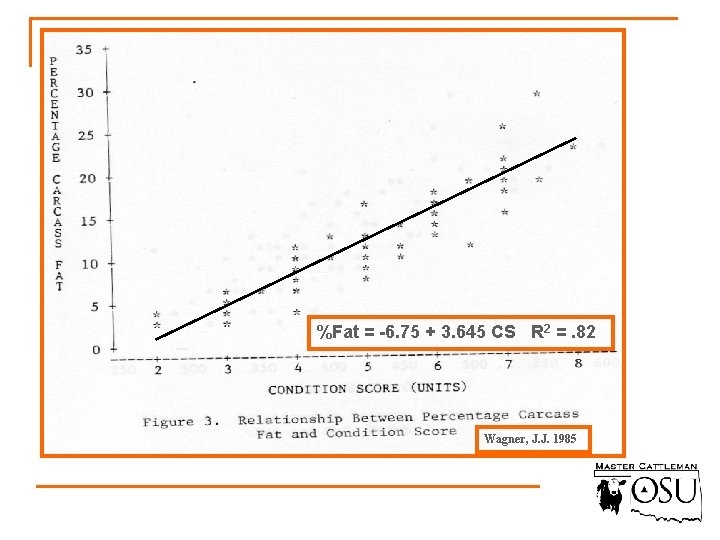 %Fat = -6. 75 + 3. 645 CS R 2 =. 82 Wagner, J.