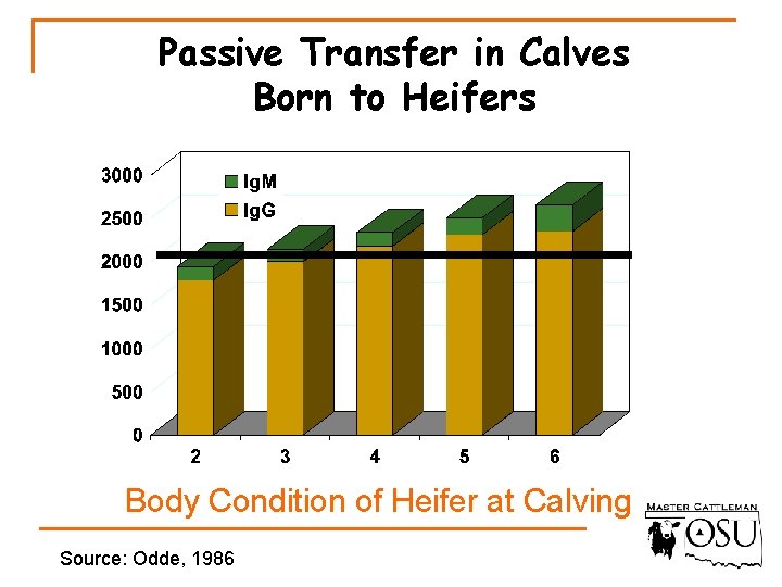 Passive Transfer in Calves Born to Heifers Body Condition of Heifer at Calving Source: