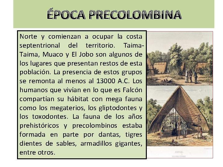 ÉPOCA PRECOLOMBINA Norte y comienzan a ocupar la costa septentrional del territorio. Taima, Muaco