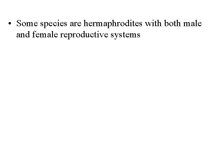  • Some species are hermaphrodites with both male and female reproductive systems 