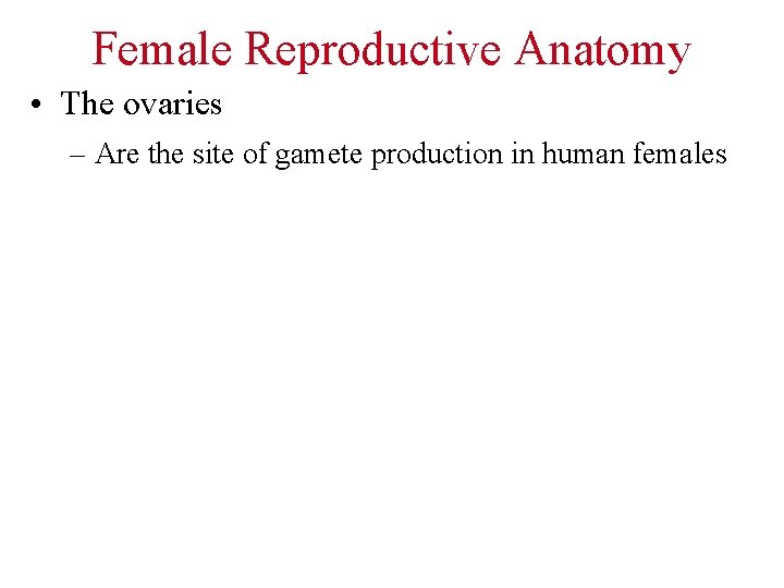 Female Reproductive Anatomy • The ovaries – Are the site of gamete production in