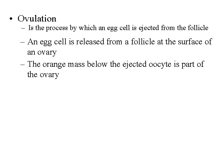  • Ovulation – Is the process by which an egg cell is ejected