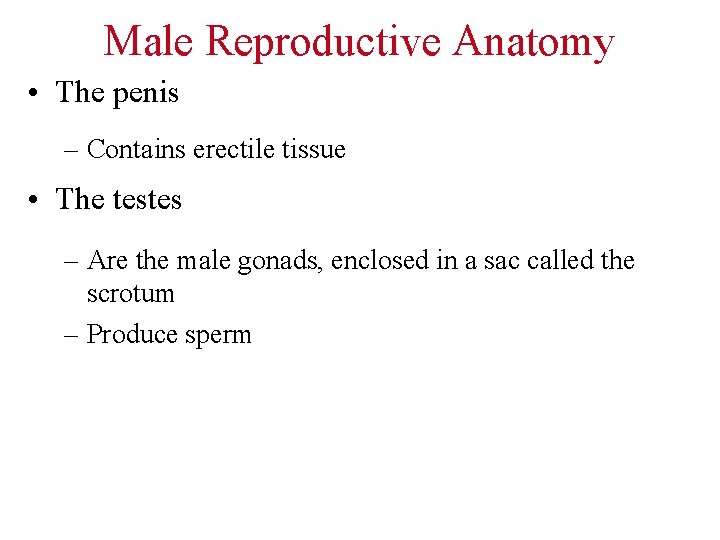 Male Reproductive Anatomy • The penis – Contains erectile tissue • The testes –
