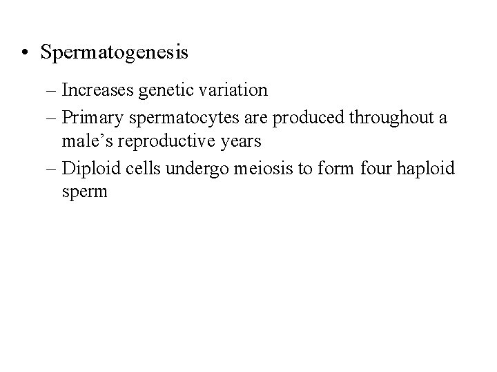  • Spermatogenesis – Increases genetic variation – Primary spermatocytes are produced throughout a