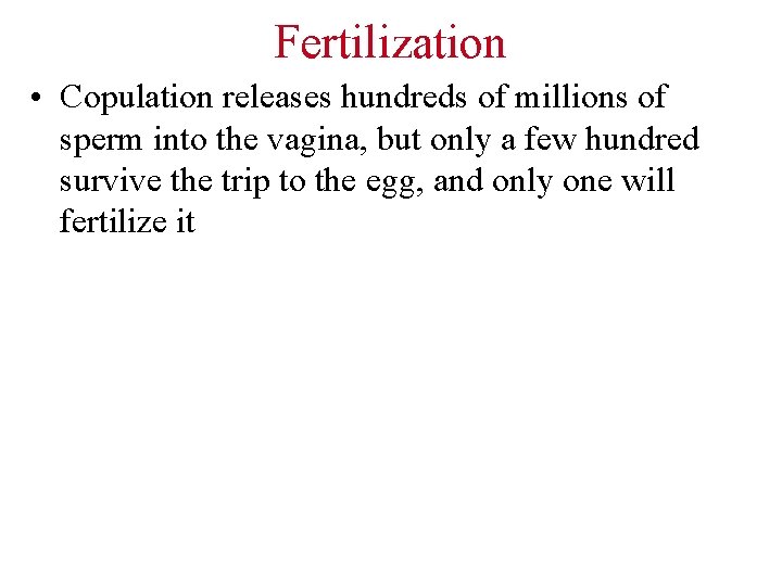 Fertilization • Copulation releases hundreds of millions of sperm into the vagina, but only