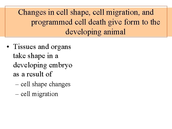 Changes in cell shape, cell migration, and programmed cell death give form to the