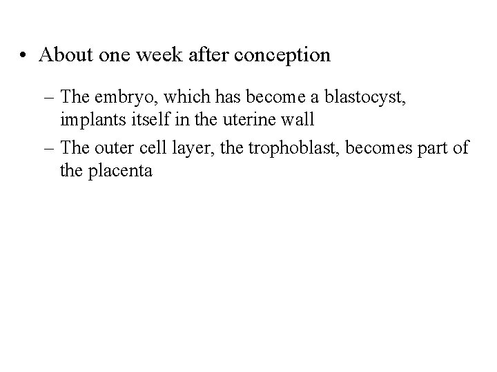  • About one week after conception – The embryo, which has become a