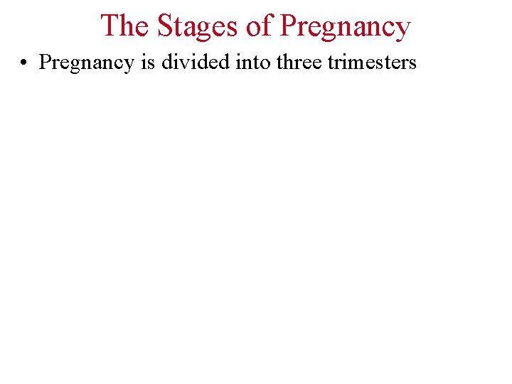 The Stages of Pregnancy • Pregnancy is divided into three trimesters 