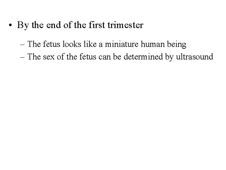  • By the end of the first trimester – The fetus looks like