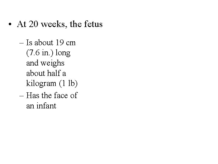  • At 20 weeks, the fetus – Is about 19 cm (7. 6