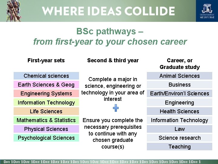 BSc pathways – from first-year to your chosen career First-year sets Chemical sciences Earth