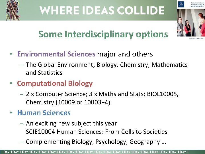 Some Interdisciplinary options • Environmental Sciences major and others – The Global Environment; Biology,
