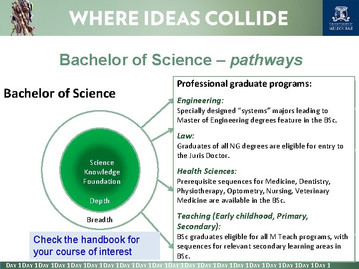 Bachelor of Science – pathways Bachelor of Science Professional graduate programs: Straight to employment: