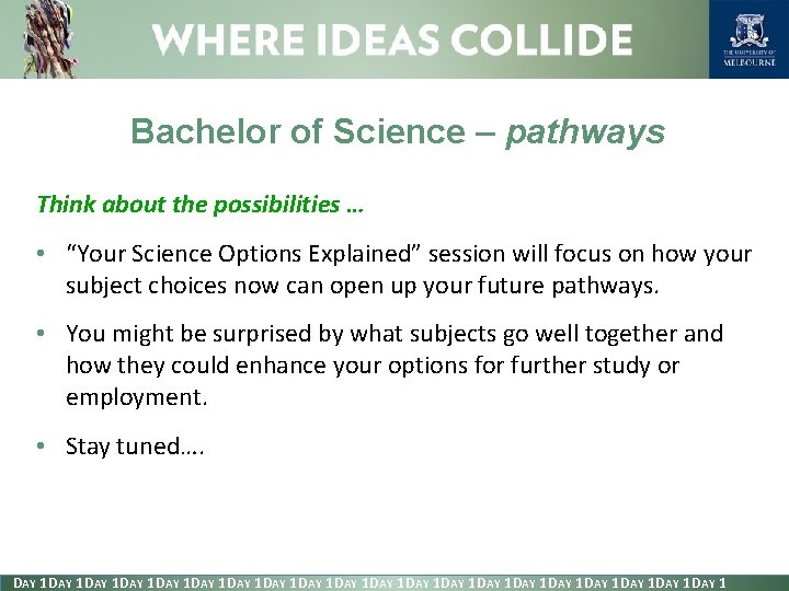 Bachelor of Science – pathways Think about the possibilities … • “Your Science Options